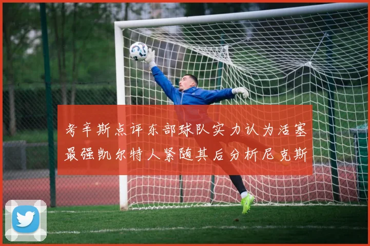 考辛斯点评东部球队实力认为活塞最强凯尔特人紧随其后分析尼克斯不足之处