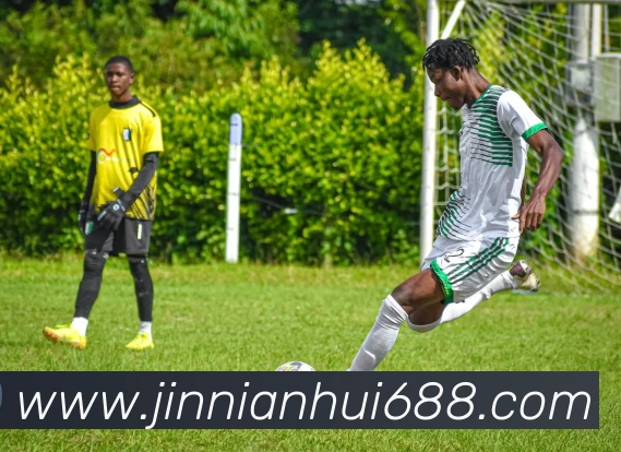 今年会官网平台生态图